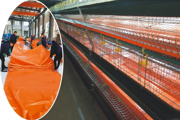 Hayvancılık için PVC cins tente üst uygulamaları